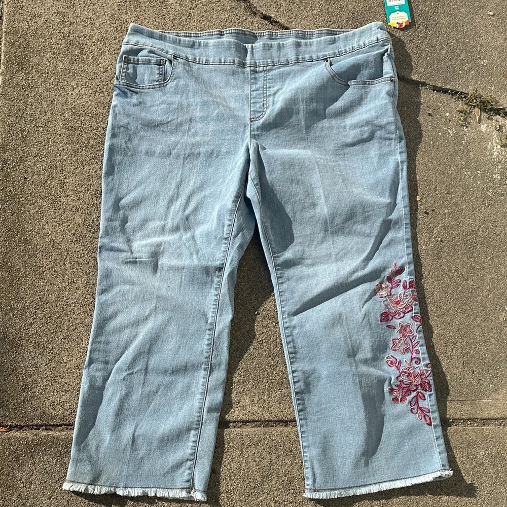 The Pioneer Woman Light Blue Cropped Jeans with Red Embroidery new w/tags XXL - Picture 1 of 12